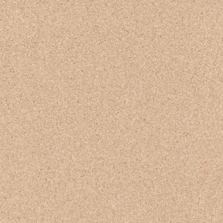 Tarkett PRIMO PLUS - Primo BEIGE 0302 role